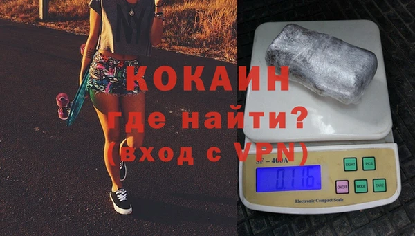 гашик Инта