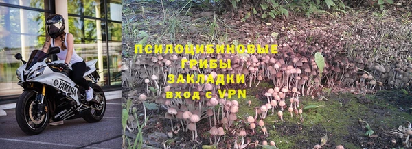 бошки Медвежьегорск